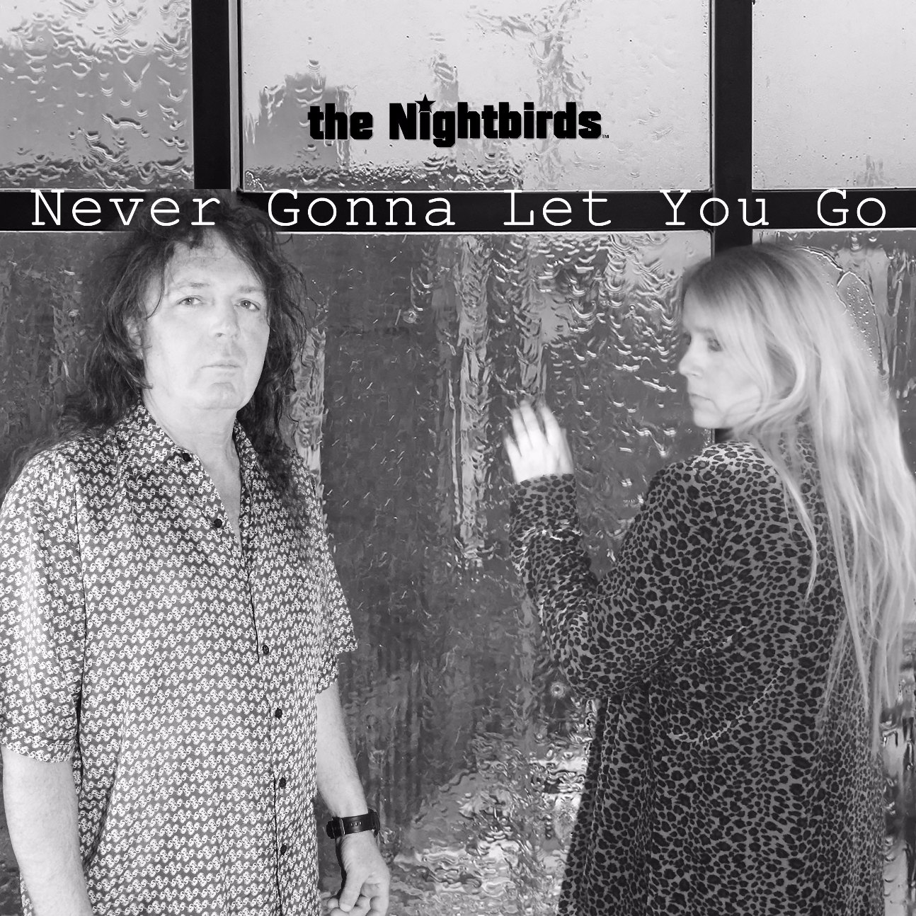 The Nightbirds Never Gonna Let You Go